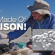Image for article titled Poison-Based Bacteria Redefines Life As We Know It